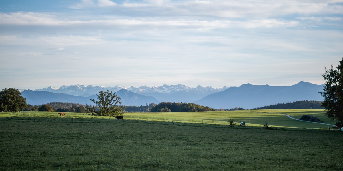 Alpenvorland im Blick, © Thomas Anton Binder